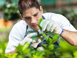 Landscaper