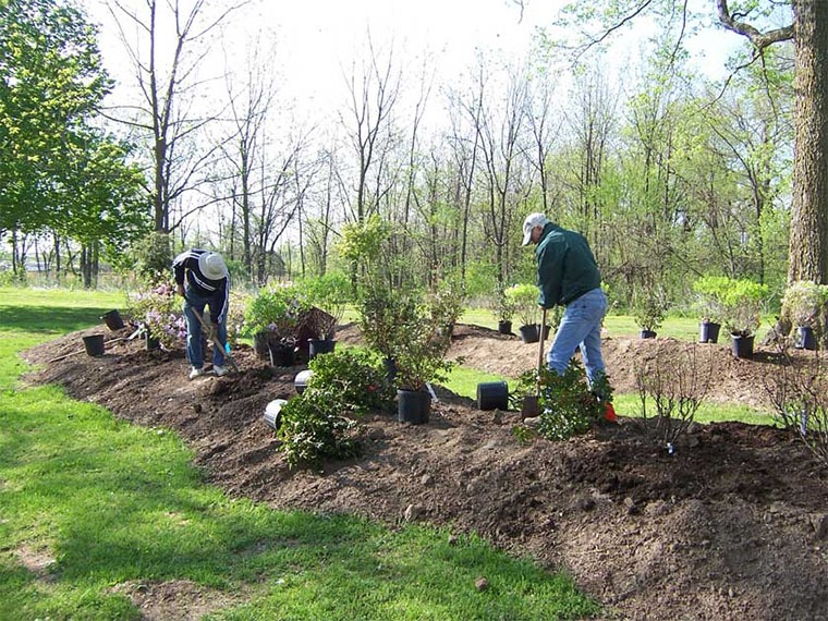 DIY Landscaping Service