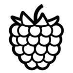 Berries Icon